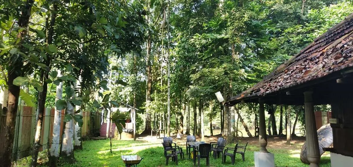 Kuruvi'S Nest Apartment Kottayam